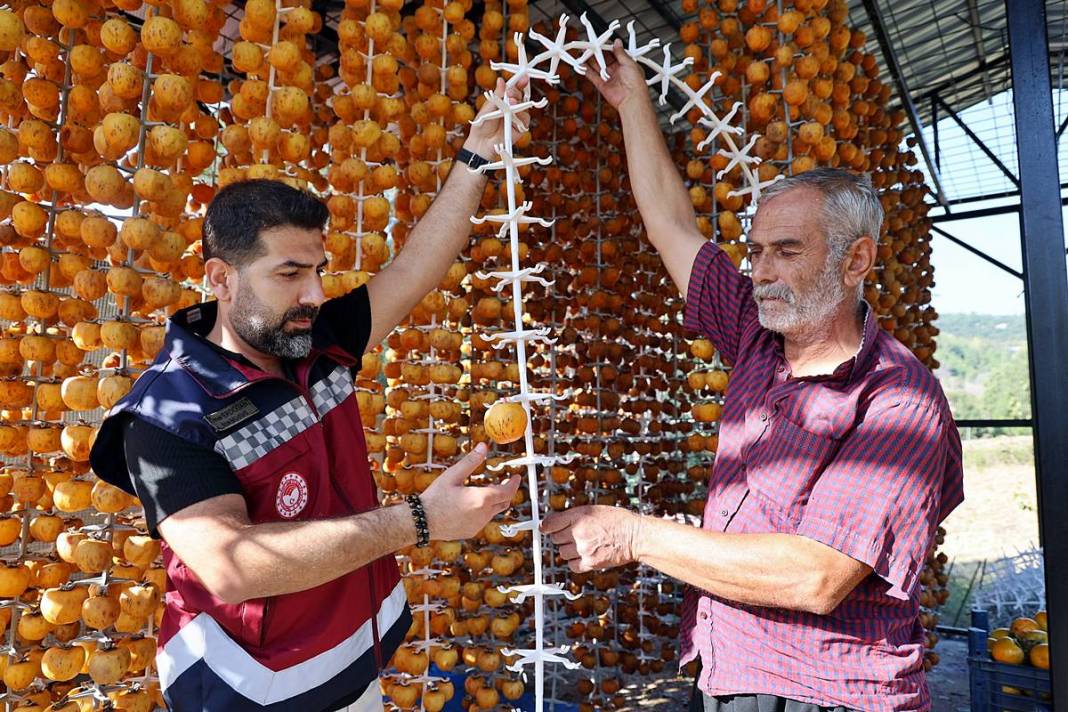 Bu meyvenin yaş kilosu 20 TL, kuru kilosu 200 TL! O köyün en büyük geçim kaynağı 4